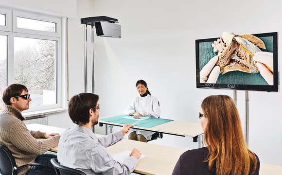 Ceiling Visualizer VZ-C3D, Meeting Room