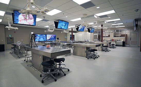 Mit den WolfVision EYE-14 Livebild-Kameras können alle Studenten sehen, was bei komplexen medizinischen Trainingsabläufen passiert. 